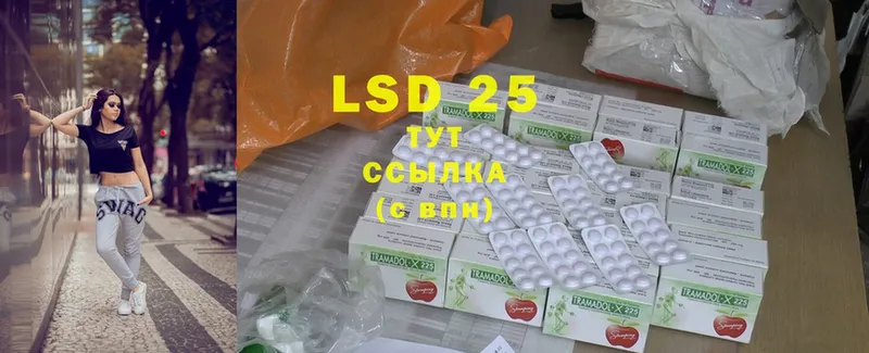 LSD-25 экстази ecstasy  OMG tor  Новоалтайск 